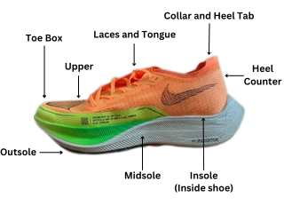 Running shoe components labelled